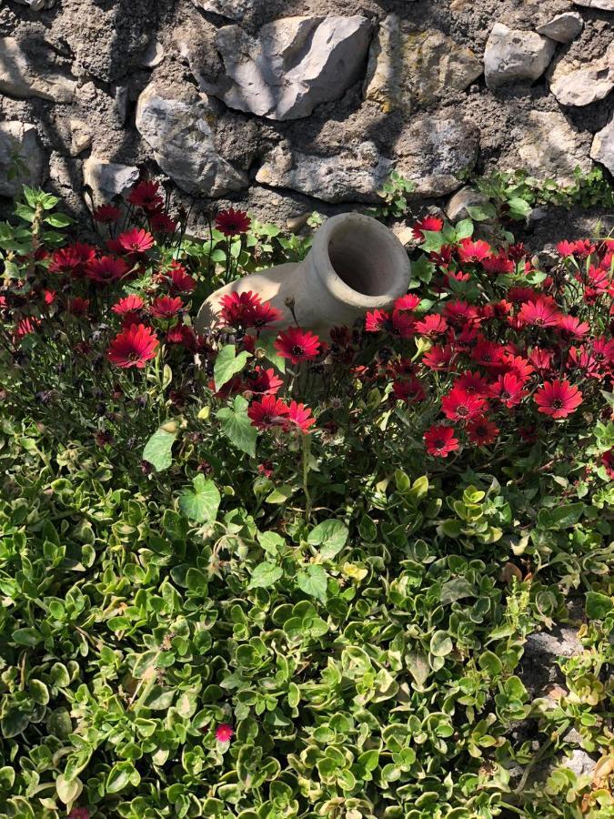 Villa Johnny And Mary'S House Breathtaking View Taormina Exterior foto